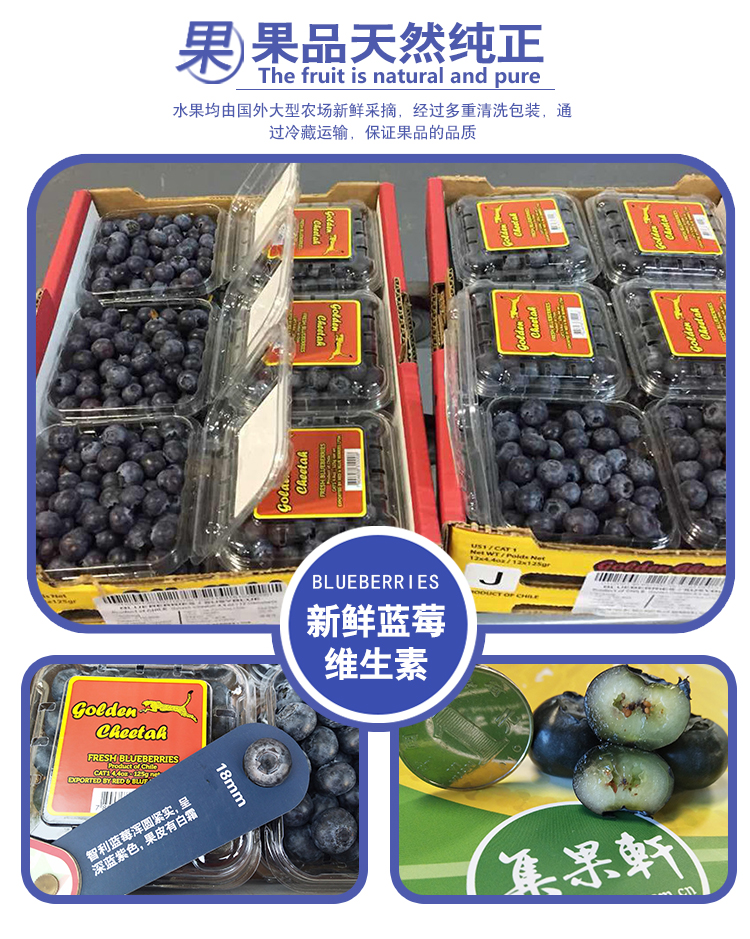 蓝莓制作方法蓝莓使用