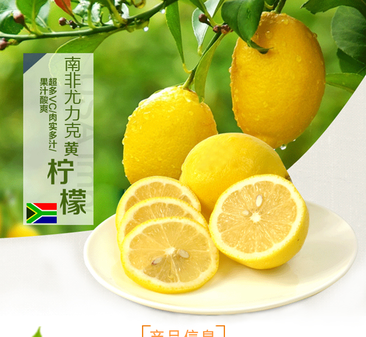 南非马牌柠檬批发