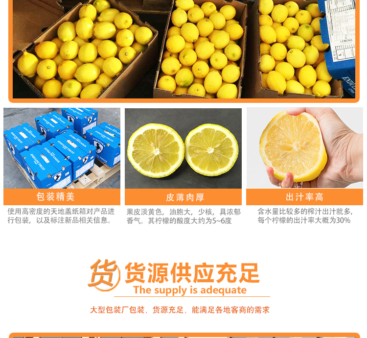 南非马牌柠檬2_07.jpg