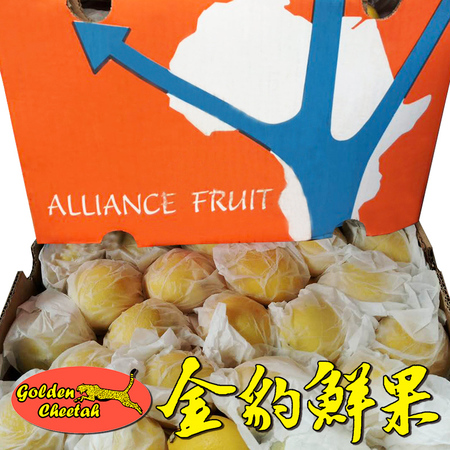 南非Alliance Fruit黄柠檬Eureka