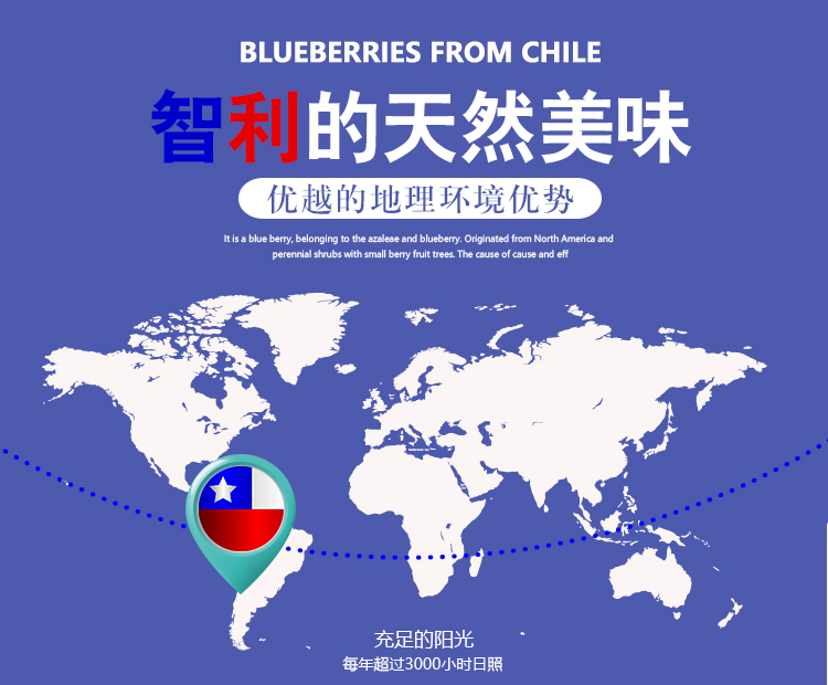 智利进口水果供应商