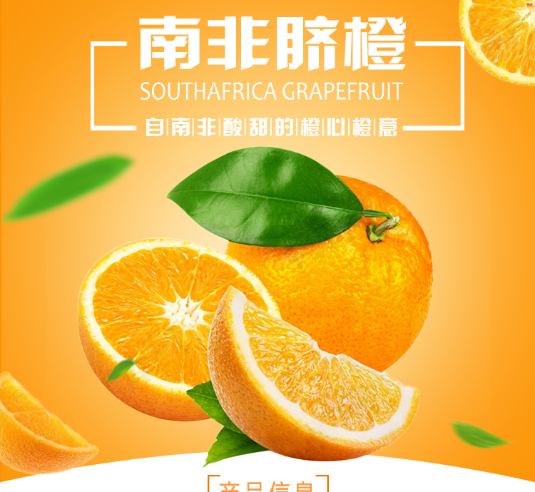 南非金豹脐橙进口水果批发