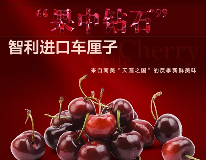 智利kordia车厘子