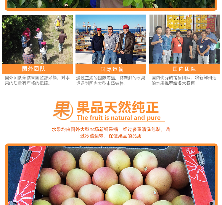 西柚批发渠道