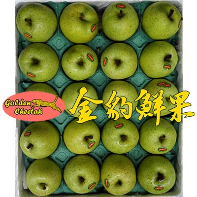 日本王林黄苹果40头