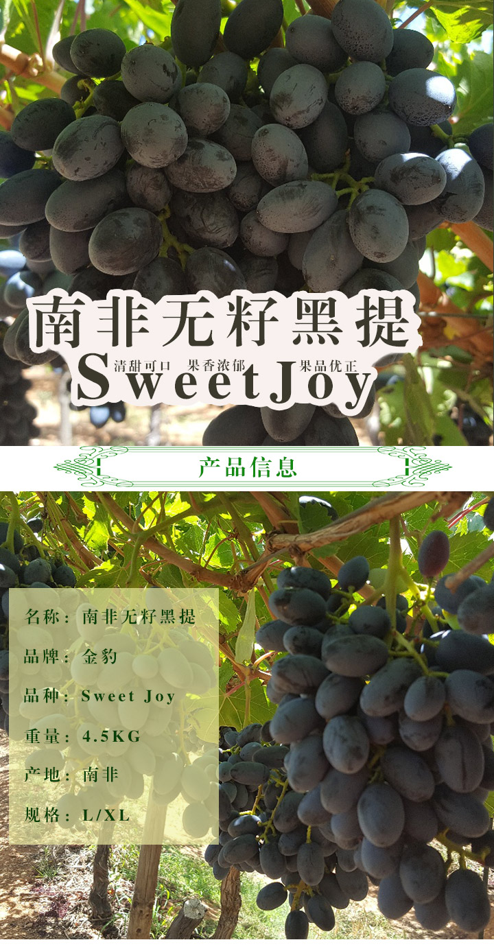 金豹Sweet-Joy详情页_01.jpg
